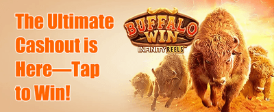 Mega Free Spins Bonanza promotion banner